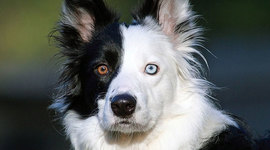 Timeline: Andrea Gonzalez Fontes