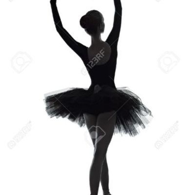 Timeline: Montserrat Portillo Pérez