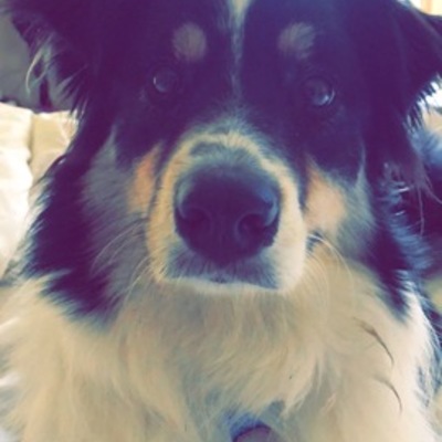 Timeline: History 8 Timeline