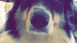 Timeline: History 8 Timeline