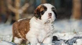 Timeline: History timeline