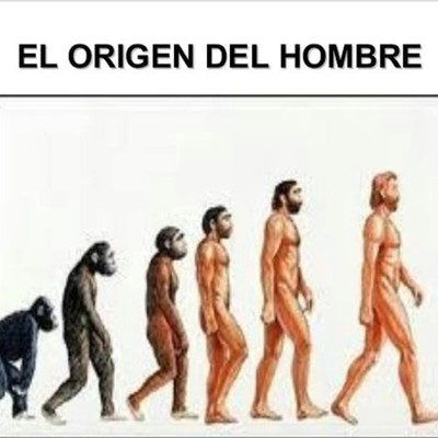 Timeline: El origen del hombre