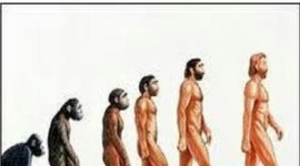 Timeline: El origen del hombre