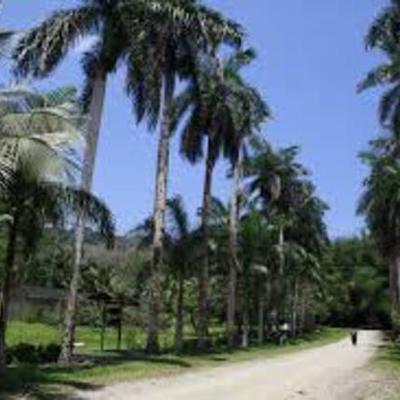 Timeline: Parque Botanico lancetilla