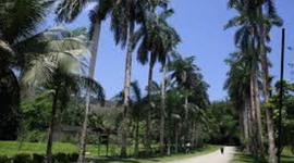 Timeline: Parque Botanico lancetilla