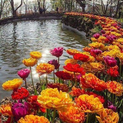 Timeline: TAREA 4 HISTORIA DE MEXICO