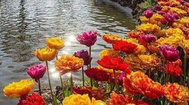 Timeline: TAREA 4 HISTORIA DE MEXICO