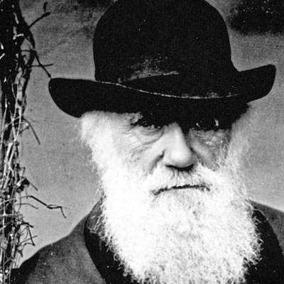Timeline: Charles Darwin Timeline