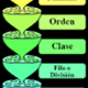 Taxonomia