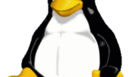 Timeline: Linus Torvald