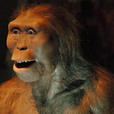 Timeline: Homínidos