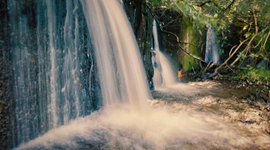 Timeline: Movie History