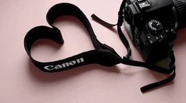 Timeline: Timeline Femke