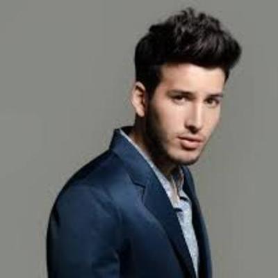 Timeline: Mi cantante preferido.