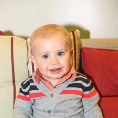 Timeline: Vitor Goedert Velho