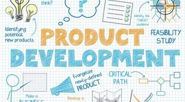 Timeline: Product Development