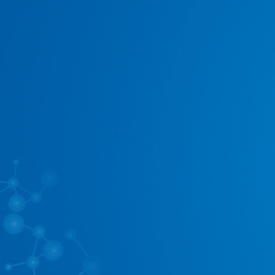 Timeline: EVOLUCION DEL CEREBRO