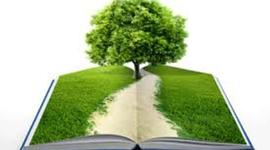 Timeline: SISTEMAS DE GESTION AMBIENTAL MENDI