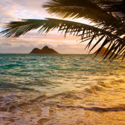 Timeline: Viatge a Hawaii