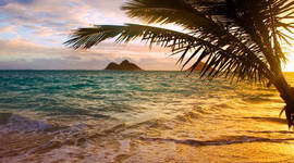 Timeline: Viatge a Hawaii