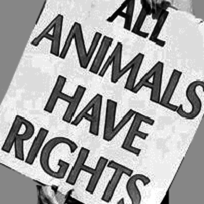 Timeline: Animal Rights Movement (*note: events labeled January 1st indicate that no exact date was specified)
