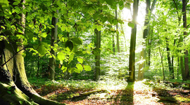 Timeline: MI VIDA PERSONAL