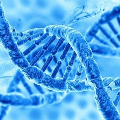 Timeline: Les grandes dates de la traduction