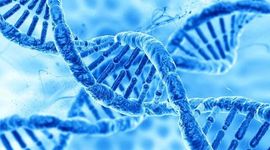 Timeline: Les grandes dates de la traduction