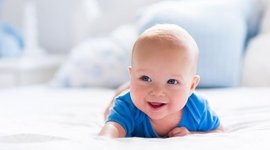 Timeline: linea del tiempo