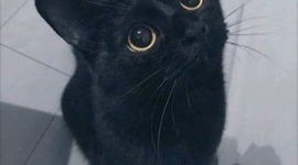 Timeline: Wilson Castaño Arcila Historia de la Pedagogía