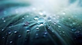 Timeline: The Discovery of the Structure of DNA