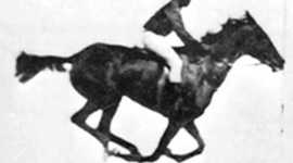 Timeline: History of movies