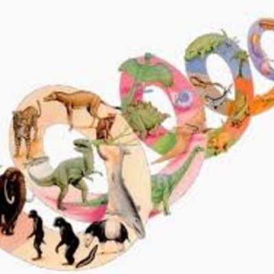 Timeline: UN ANÁLISIS DESDE LA  TEORÍA BIOLÓGICA EVOLUCIONISTA