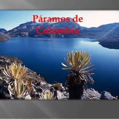 Timeline: evolución del derecho de aguas en Colombia