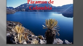 Timeline: evolución del derecho de aguas en Colombia