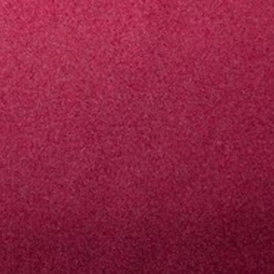 Timeline: Photographer Timeline