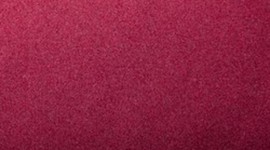 Timeline: Photographer Timeline