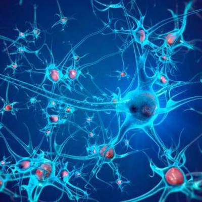 Timeline: Historia de la neurología