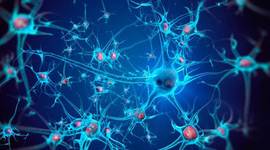 Timeline: Historia de la neurología