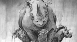 Timeline: mogo the third worthog!!!!!! :)