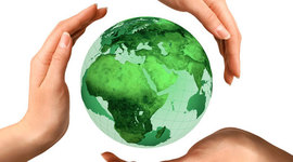 Timeline: linea de tiempo protección ambiental