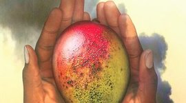 Timeline: 10 Significant Events to the Development of Mariatu Kamara in The Bite of the Mango