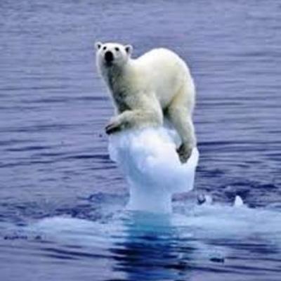 Timeline: TOP MOST DAMAGING TSUNAMIS OF ALL  TIME