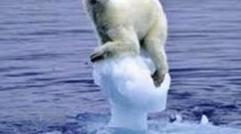 Timeline: TOP MOST DAMAGING TSUNAMIS OF ALL  TIME