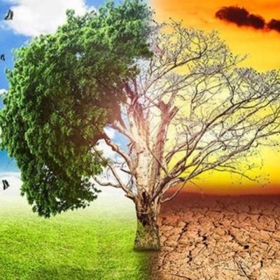 Timeline: Eras geológicas