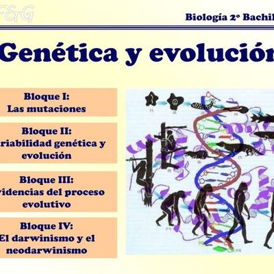 Timeline: Evolución de genética