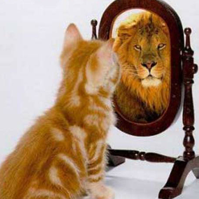 Timeline: Reconociendo mis competencias