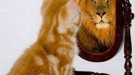 Timeline: Reconociendo mis competencias