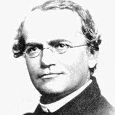 Timeline: leyes de mendel