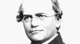 Timeline: leyes de mendel